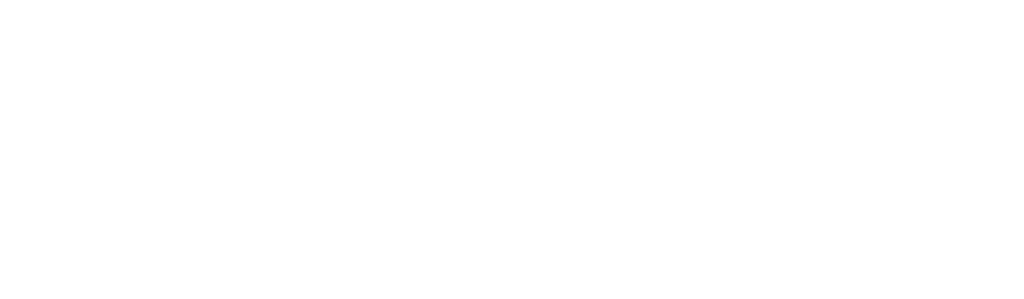 DBHDS Virginia Logo